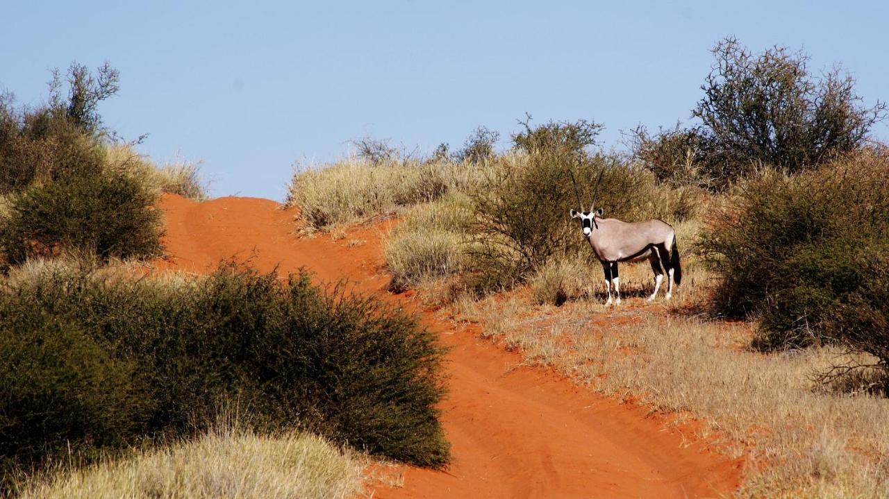Kalahari Game Lodge Koës Buitenkant foto